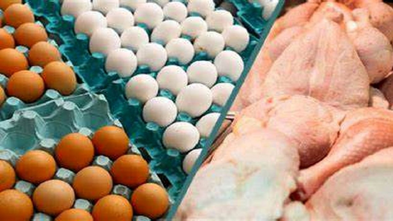 حال ناخوش بازار مرغ و تخم مرغ
