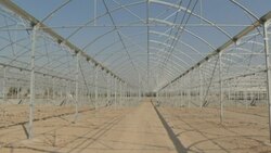 گلستانی در دل کویر + فیلم