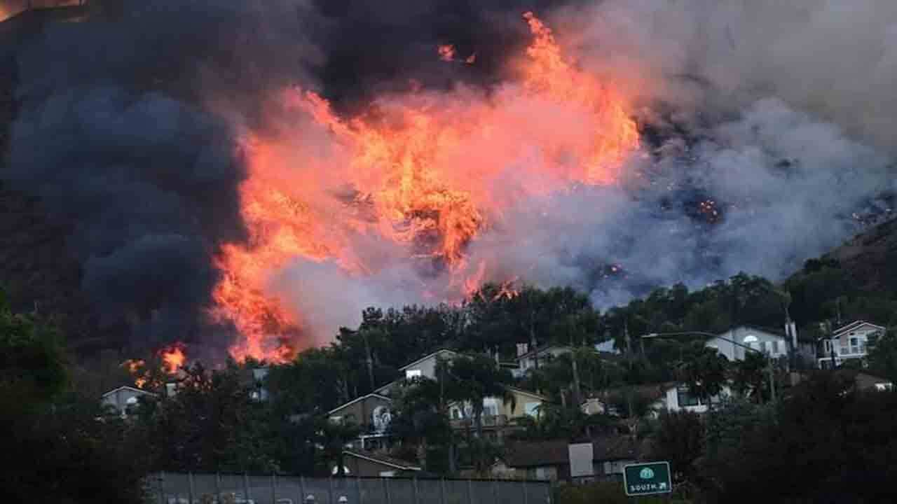 جنگل&zwnj;های کالیفرنیا
