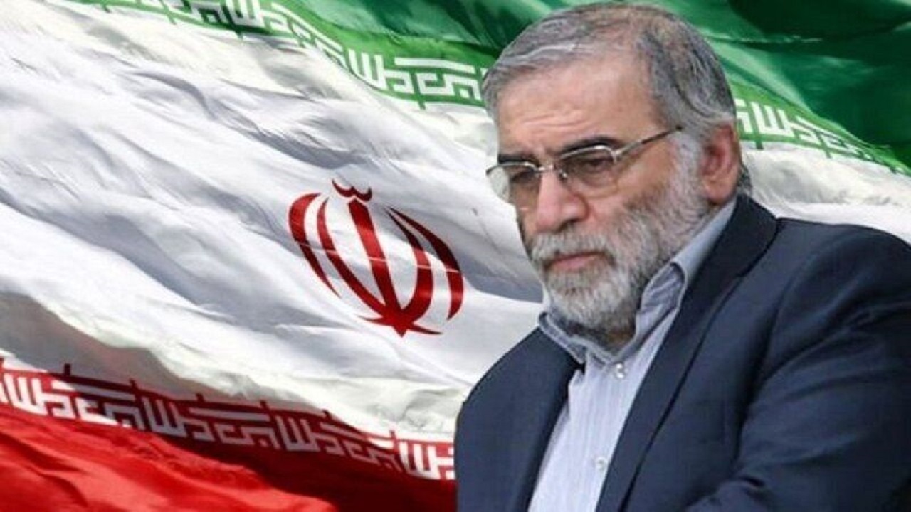 واکنش اهالی هنر به ترور شهید دکتر فخری زاده/فخری زاده افتخار ایران بود