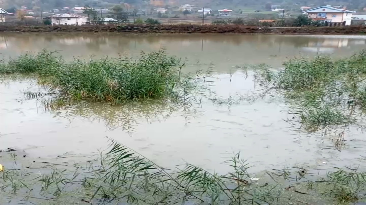 نمایی از طبیعت پاییزی در روستای گسکره + فیلم