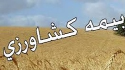 بیمه محصولات زراعی و باغی 