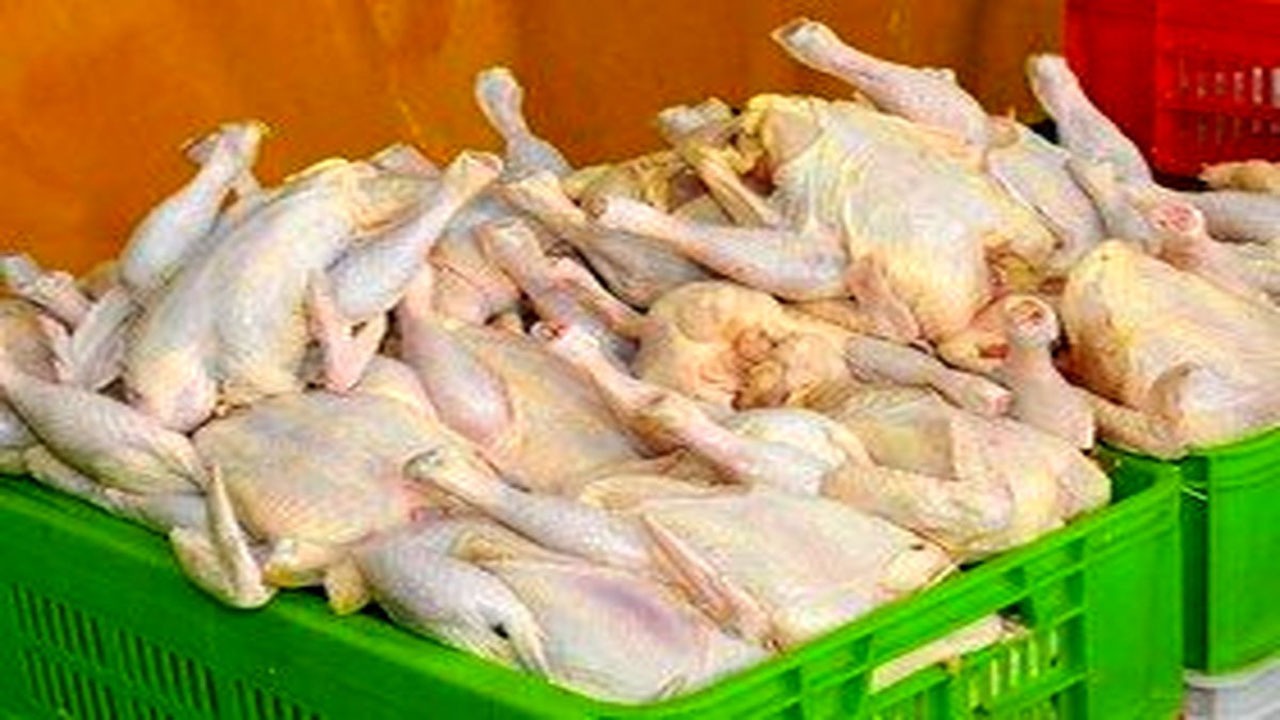 افزایش ۳ برابری تقاضای مرغ در هفته‌های اخیر/ توزیع با قیمت ۲۰ هزار و ۴۰۰ تومان