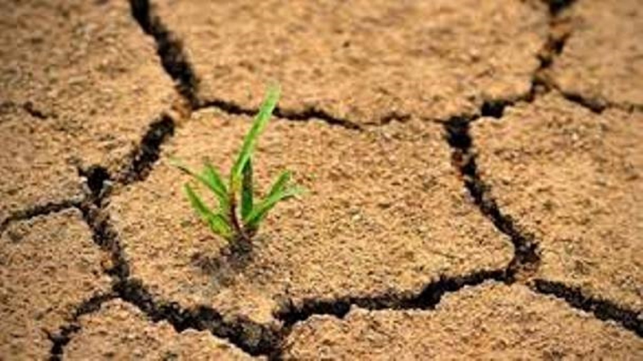 خاک را زنده نگهداریم وتنوع زیستی خاک را حفظ کنیم