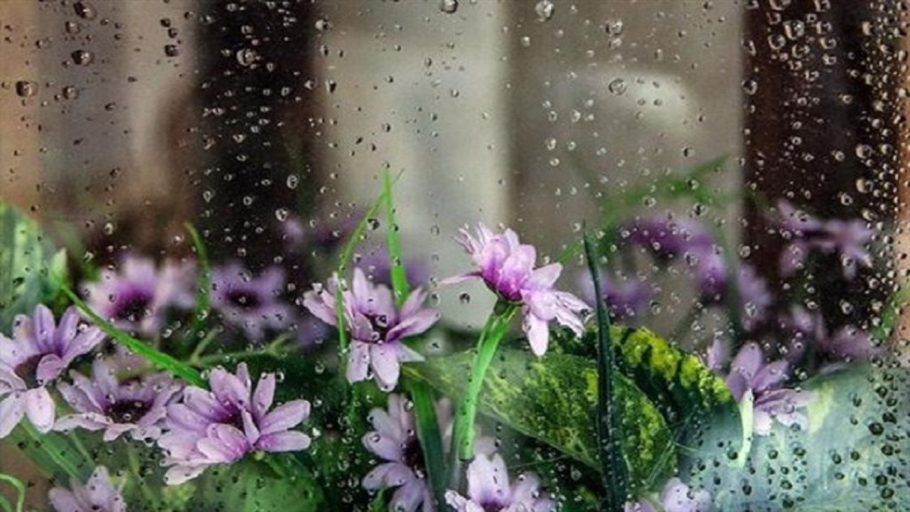 آسمان یزد بارانی است/ احتمال سیلابی شدن مسیل‌ها