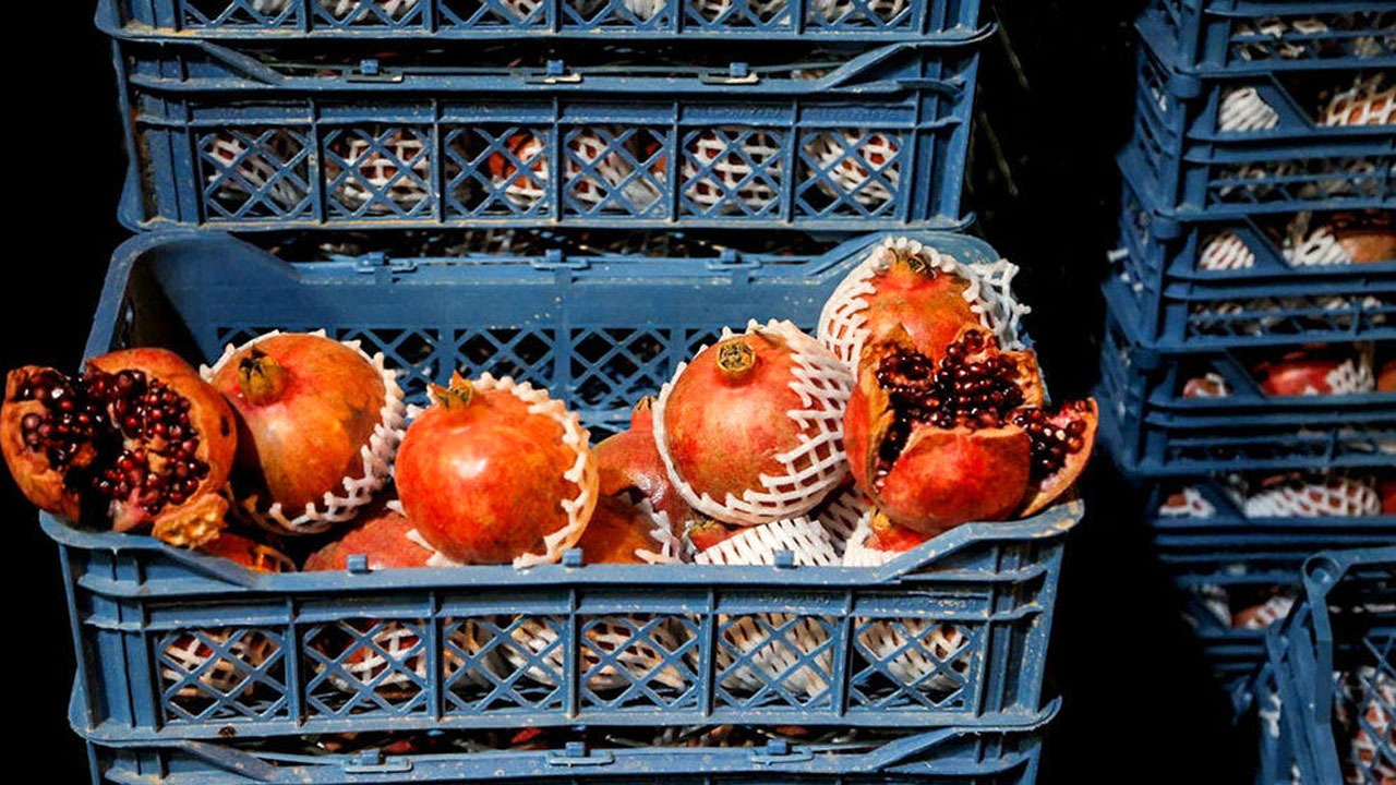 تامین میوه‌های شب یلدا درمیادین میوه و تره بار