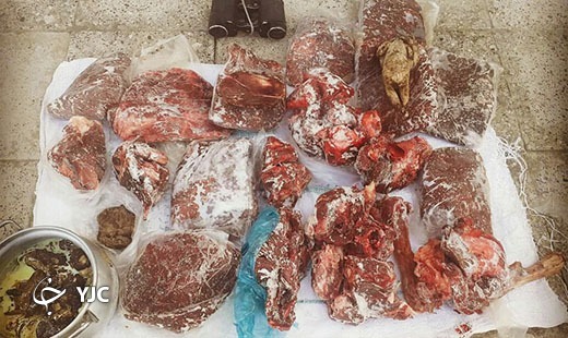 دستگیری شکارچی با یک قبضه اسلحه شکاری در مینودشت