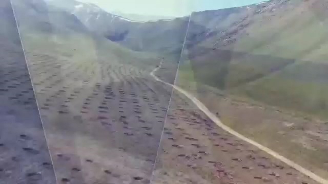 آغاز درختکاری و تقویت پوشش گیاهی همزمان با کشور در استان اصفهان