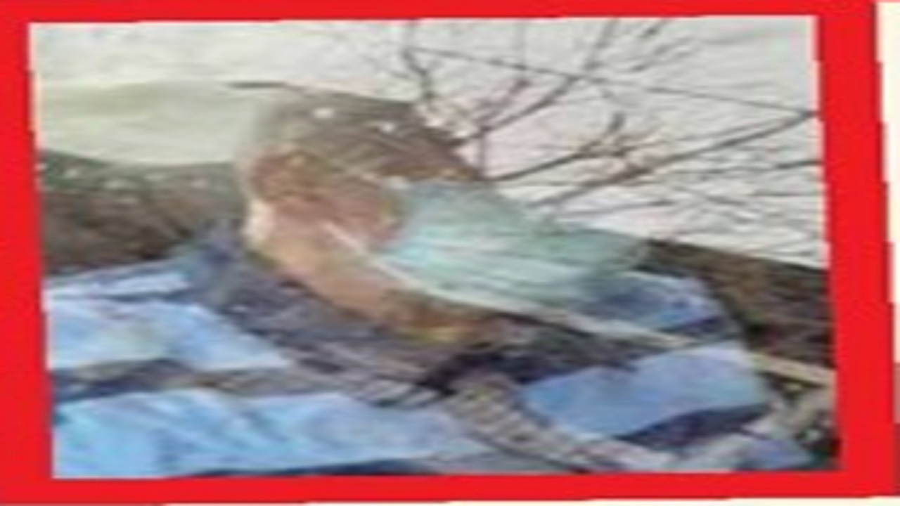 جزئیات ۵۰ روز اسارت دختر ۱۵ ساله در خانه مخوف‌