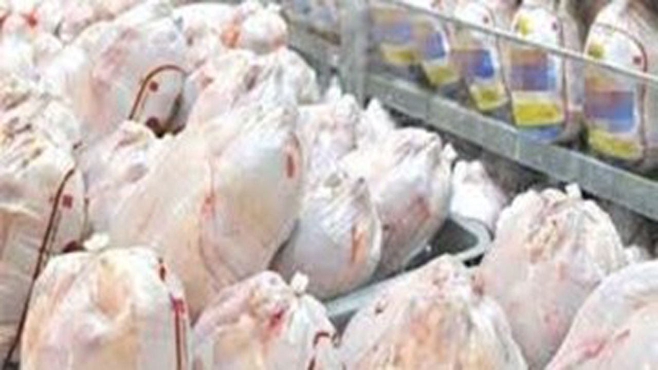 تولید بیش از ۳۶۰۰ تن گوشت سفید در فیروزآباد