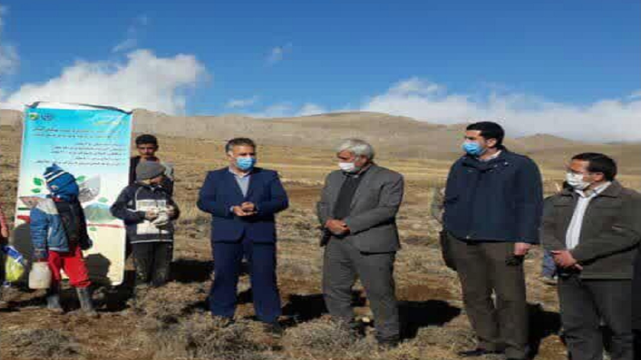 نهال کاری و تقویت پوشش گیاهی به مناسبت روز جهانی خاک در بن