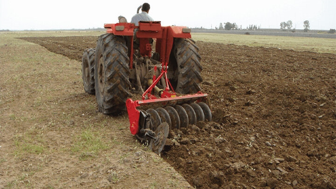 اختصاص ۱۶۰۰ هکتار از اراضی شهربابک به کشت گندم و جو