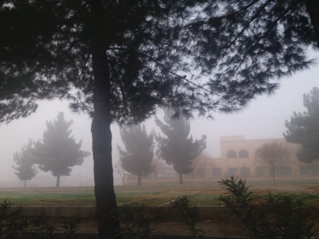 مه صبحگاهی کرمان را فرا گرفت+تصاویر