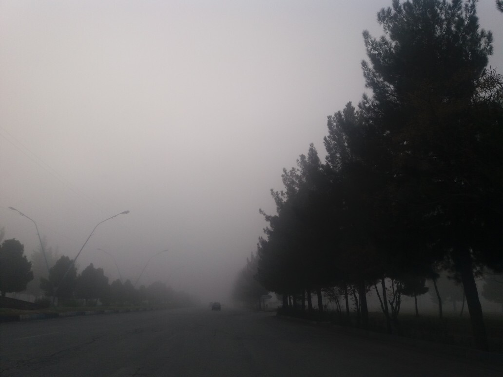 مه صبحگاهی