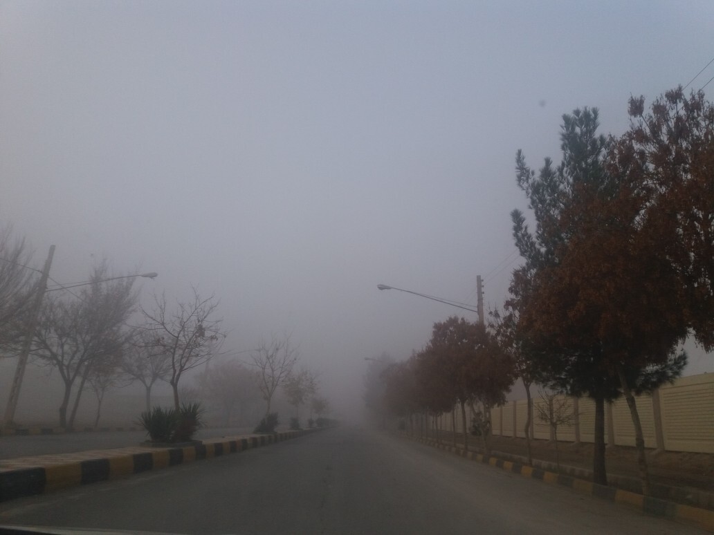 مه صبحگاهی