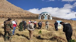 کاشت ۱۰۰ اصله نهال