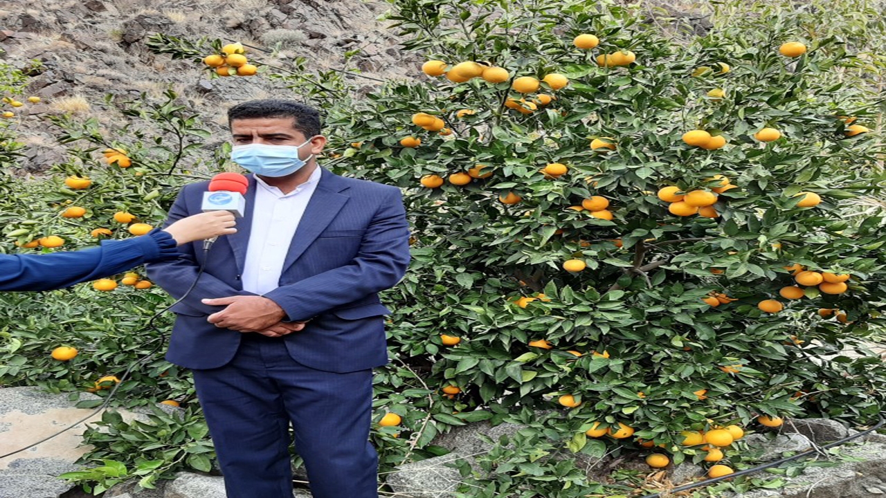 سالاری بخشدار جبالبارز
