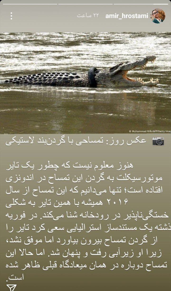 ماجرای عجیب یک تمساح