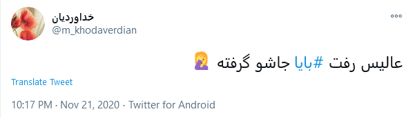 انقدری که ما سیامک انصاری را می&zwnj;بینیم خانواده اش او را نمی&zwnj;بینند