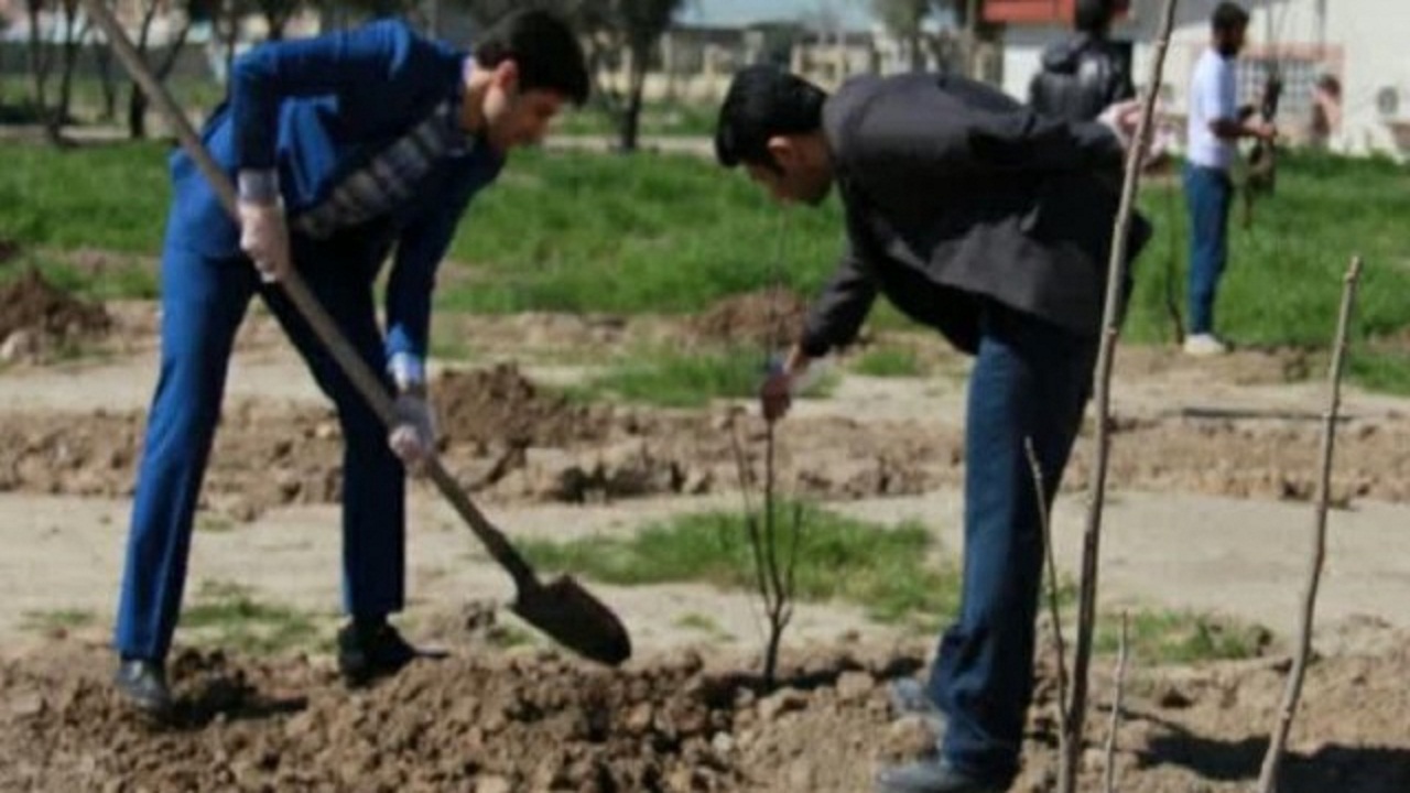 اتمام پروژه نهالکاری مراقبت و آبیاری روستای صوفی آباد