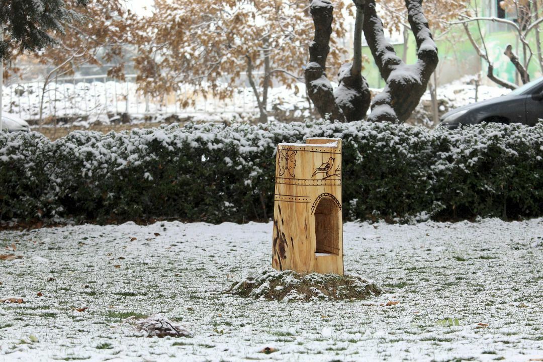 ساخت لانه ویژه پرندگان در بوستان های شهر