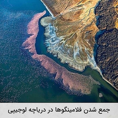 عکس&zwnj;هایی که تابه&zwnj;حال ندیده&zwnj;اید!