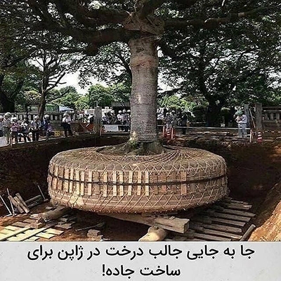 عکس&zwnj;هایی که تابه&zwnj;حال ندیده&zwnj;اید!
