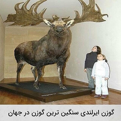 عکس&zwnj;هایی که تابه&zwnj;حال ندیده&zwnj;اید!