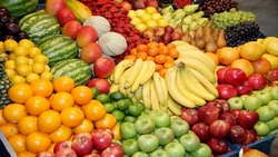 میوه شب یلدا تامین است