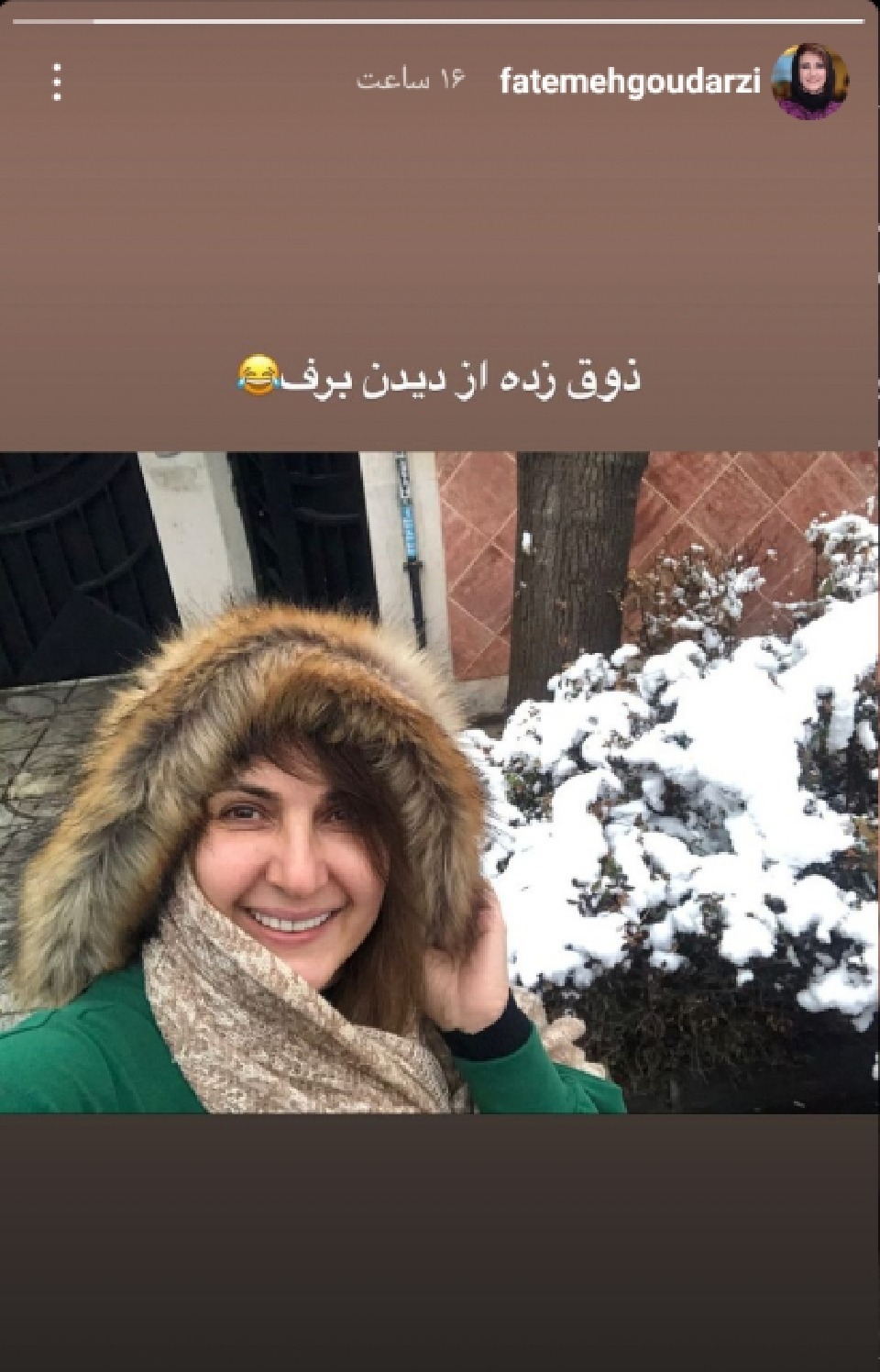 استوری فاطمه گودرزی