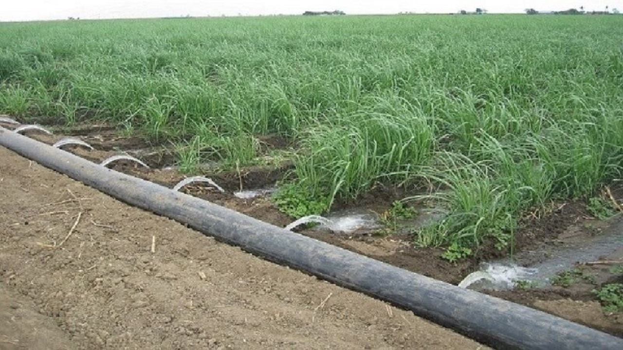 سیستم آبیاری نوین