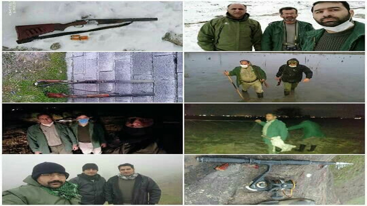 دستگیری شکارچیان متخلف در آمل