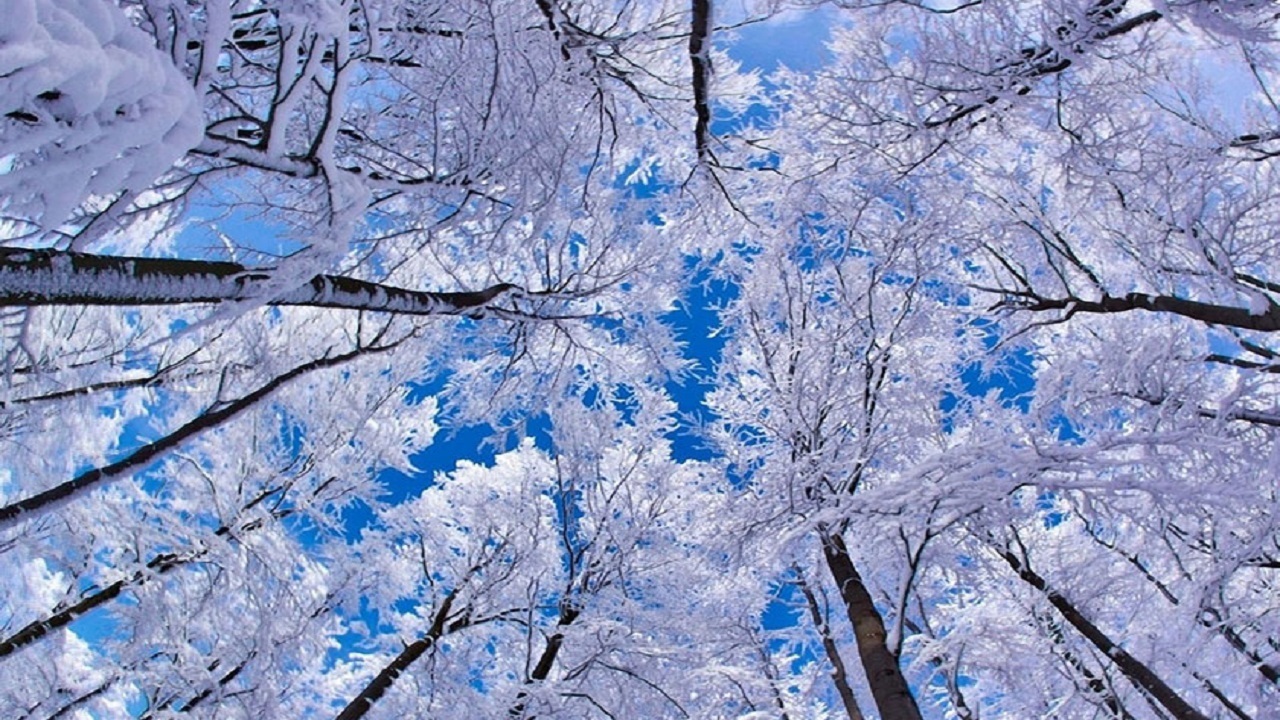 بارش ۵ سانتی متر برف در کریموی سرایان