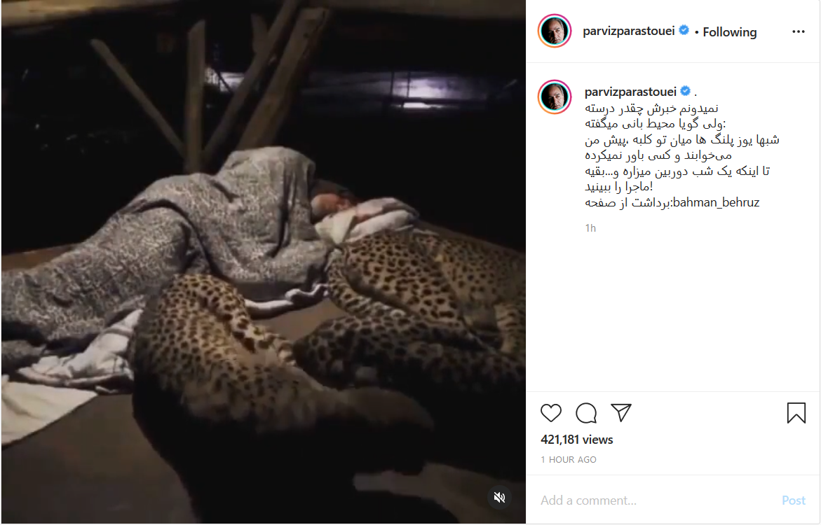 همزیستی یوزپلنگ ها با محیط بان