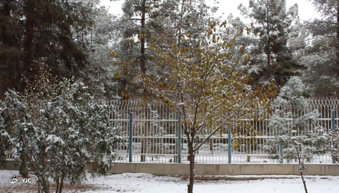 زیبایی طبیعت زمستانی سرخس به روایت تصویر