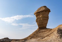 بوشهر، نهنگ پیر خلیج فارس‎