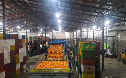 ایجاد فرصت طلایی برای رشد صادرات کشاورزی قزوین در گروی ساخت یک پایانه