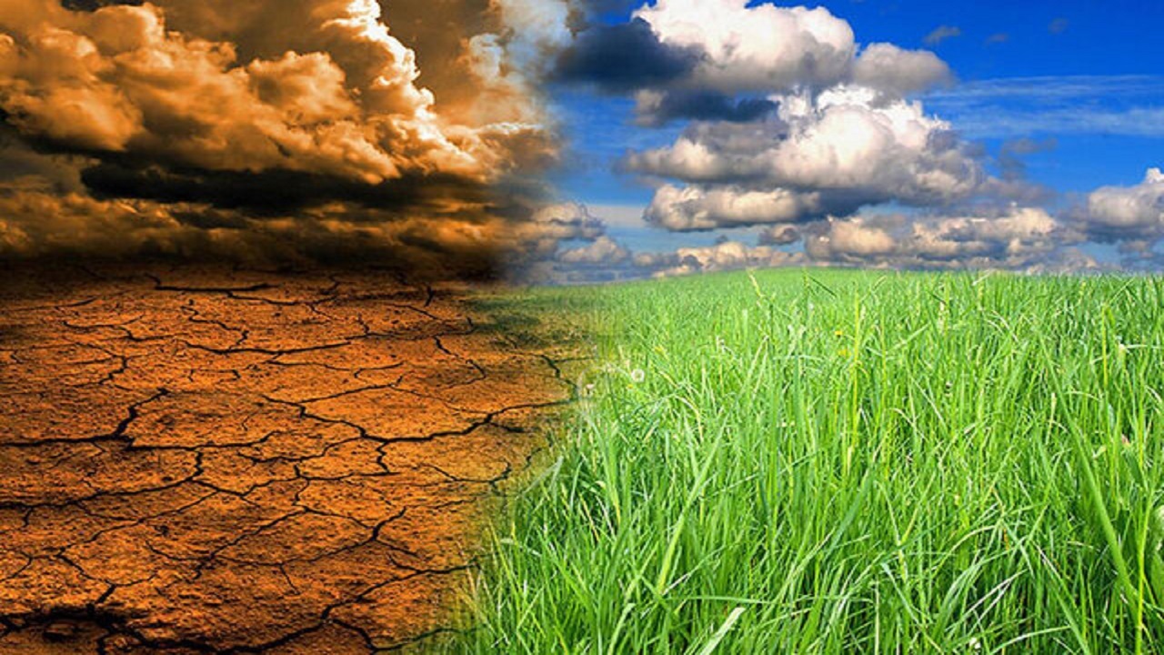 تغییرات اقلیمی آسیب‌های زیادی به محیط زیست وارد می‌کند
