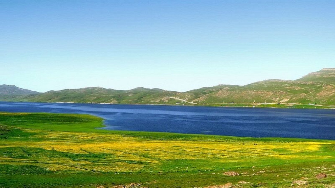 فعالیت‌های دامداری و دامپروری در حوزه اکولوژیک تالاب نئور مدیریت شود