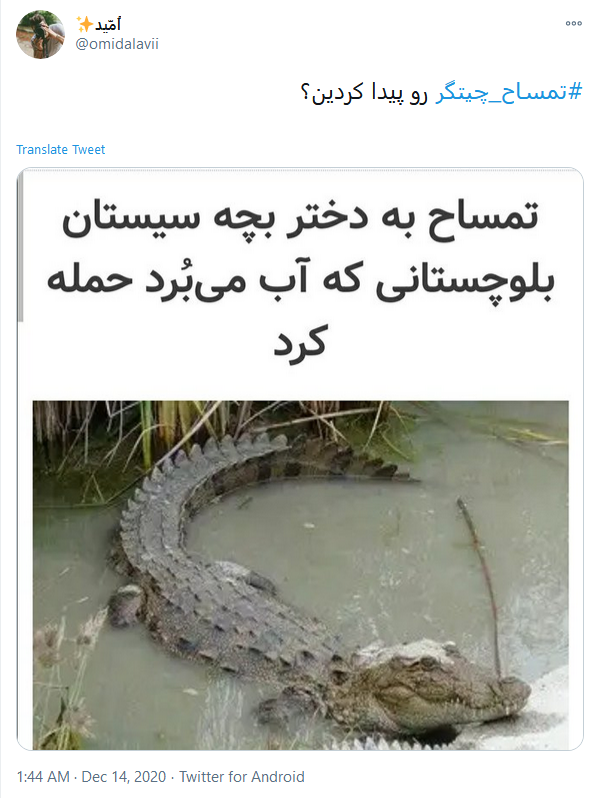 از مرحله کرونا گذشتیم رسیدیم به نبرد با #تمساح ها!