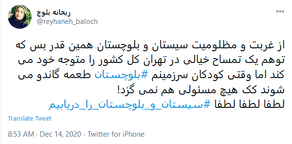 از مرحله کرونا گذشتیم رسیدیم به نبرد با #تمساح ها!