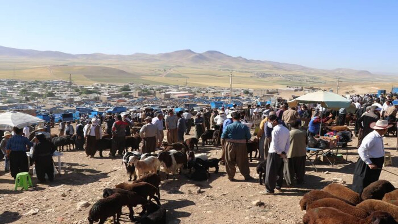 بازار هفتگی خلیفان بازگشایی شد
