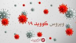 ۴ نفر دیگر قربانی کرونا شدند