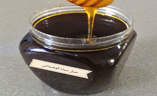 فواید شگفت انگیز عسل سیاه برای سلامتی/ گنیجه عناصر مغذی را دست کم نگیرید