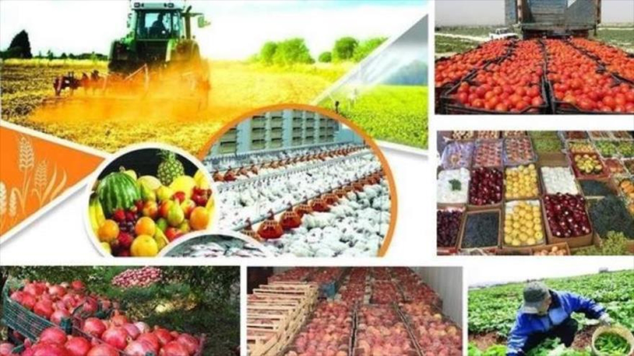 فارس دارای اقلیم متنوع و با شرایط کشاورزی خاص است