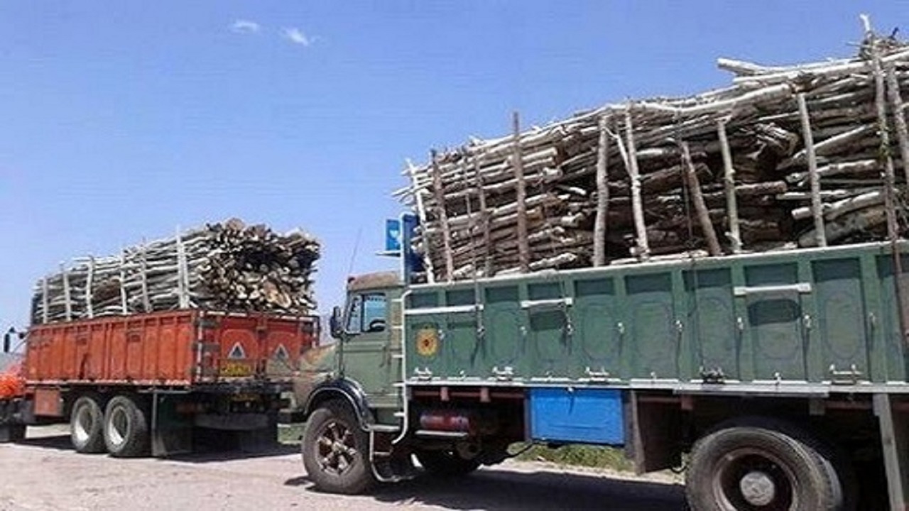قاچاق چوب قاچاق چوب