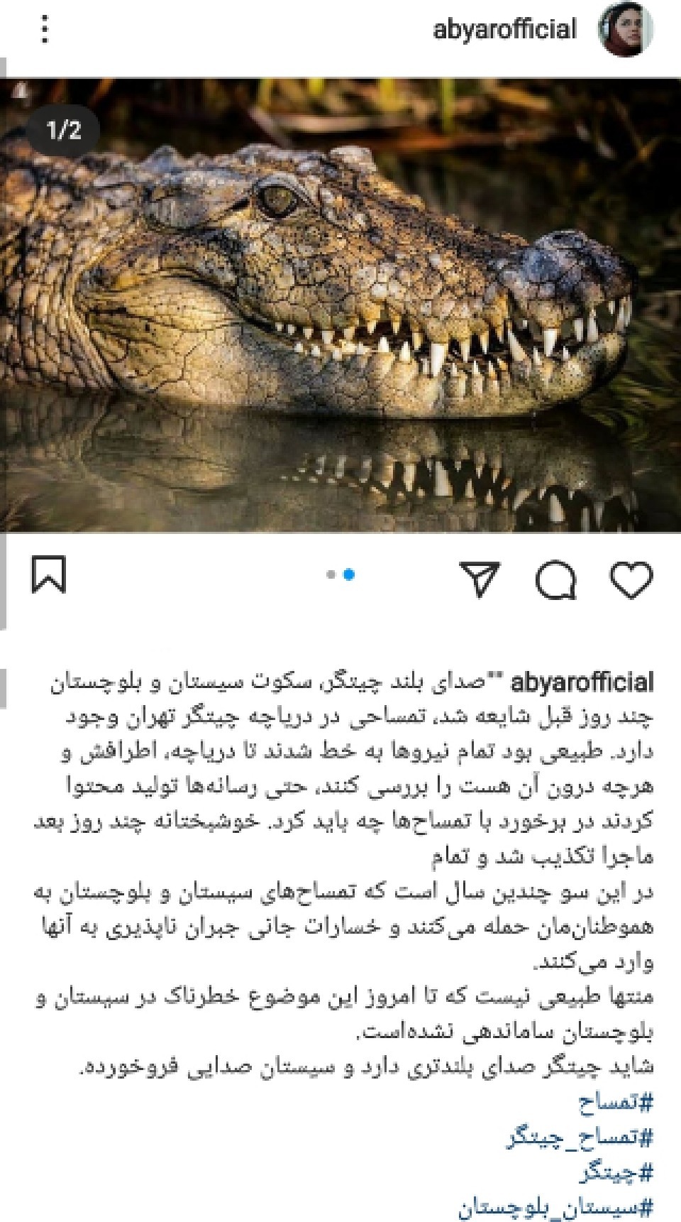 ماجرای تمساح در دریاچه چیتگر