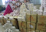۴۲۳ میلیون ریال جریمه قاچاق لوازم آرایشی و بهداشتی