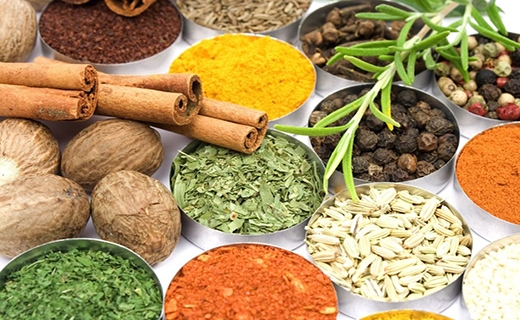 گره&zwnj;گشایی از اشتغال با کشت گیاهان دارویی در مراتع کهگیلویه و بویراحمد