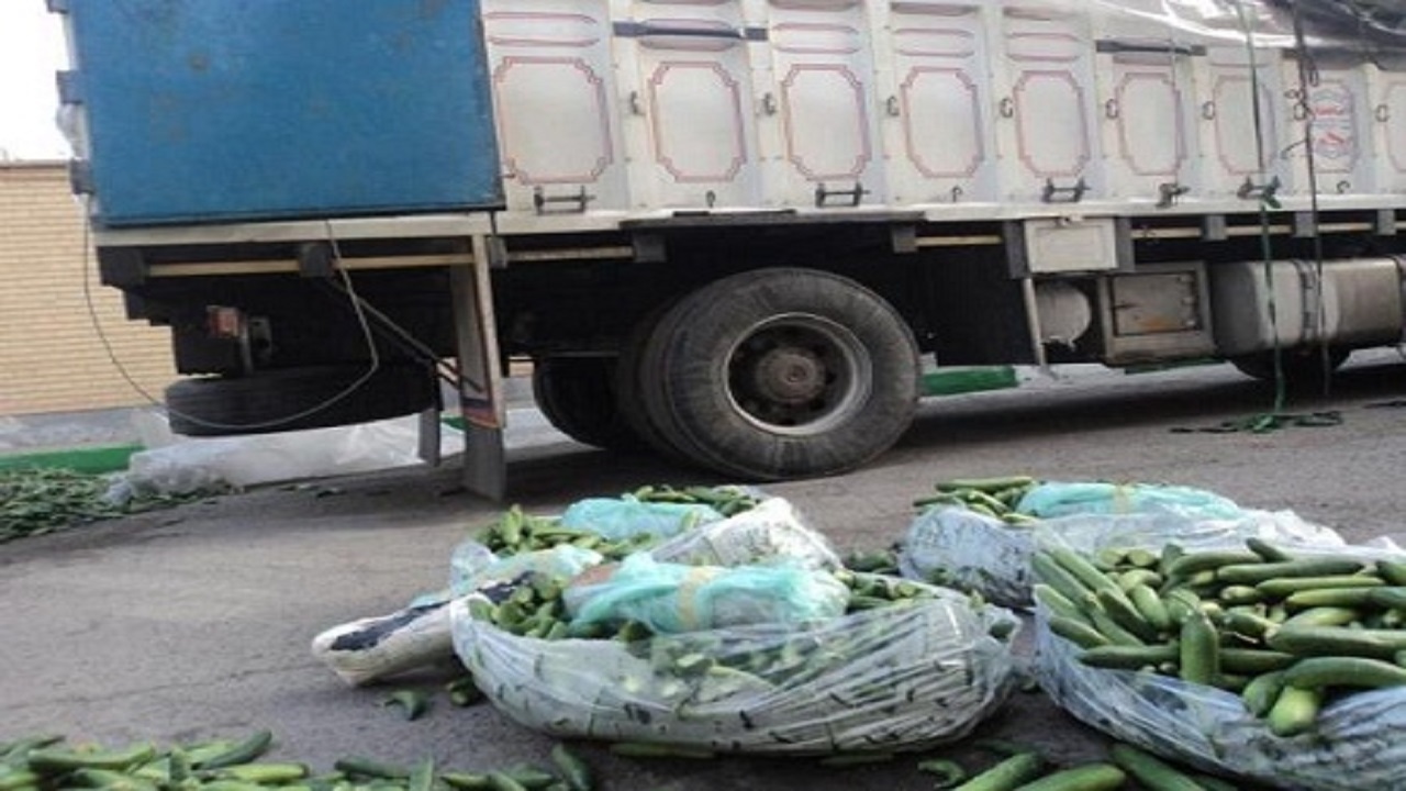 کشف  مواد مخدر در محموله میوه